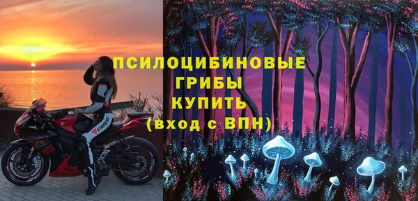 крисы Карпинск