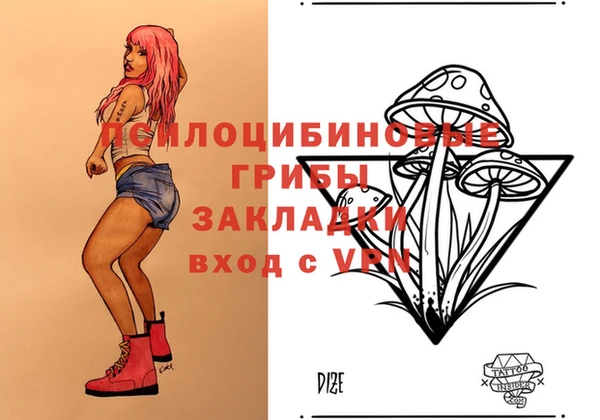 крисы Карпинск