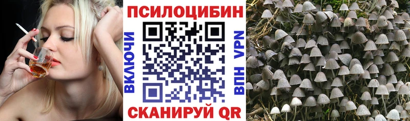 Галлюциногенные грибы Psilocybine cubensis  Мезень 