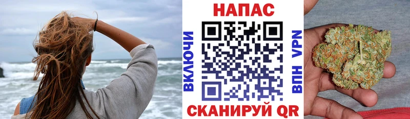 Бошки Шишки семена  нарко площадка как зайти  Мезень  блэк спрут ТОР 